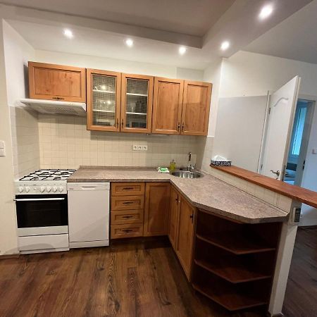 Invalidovna Apartment Прага Екстер'єр фото